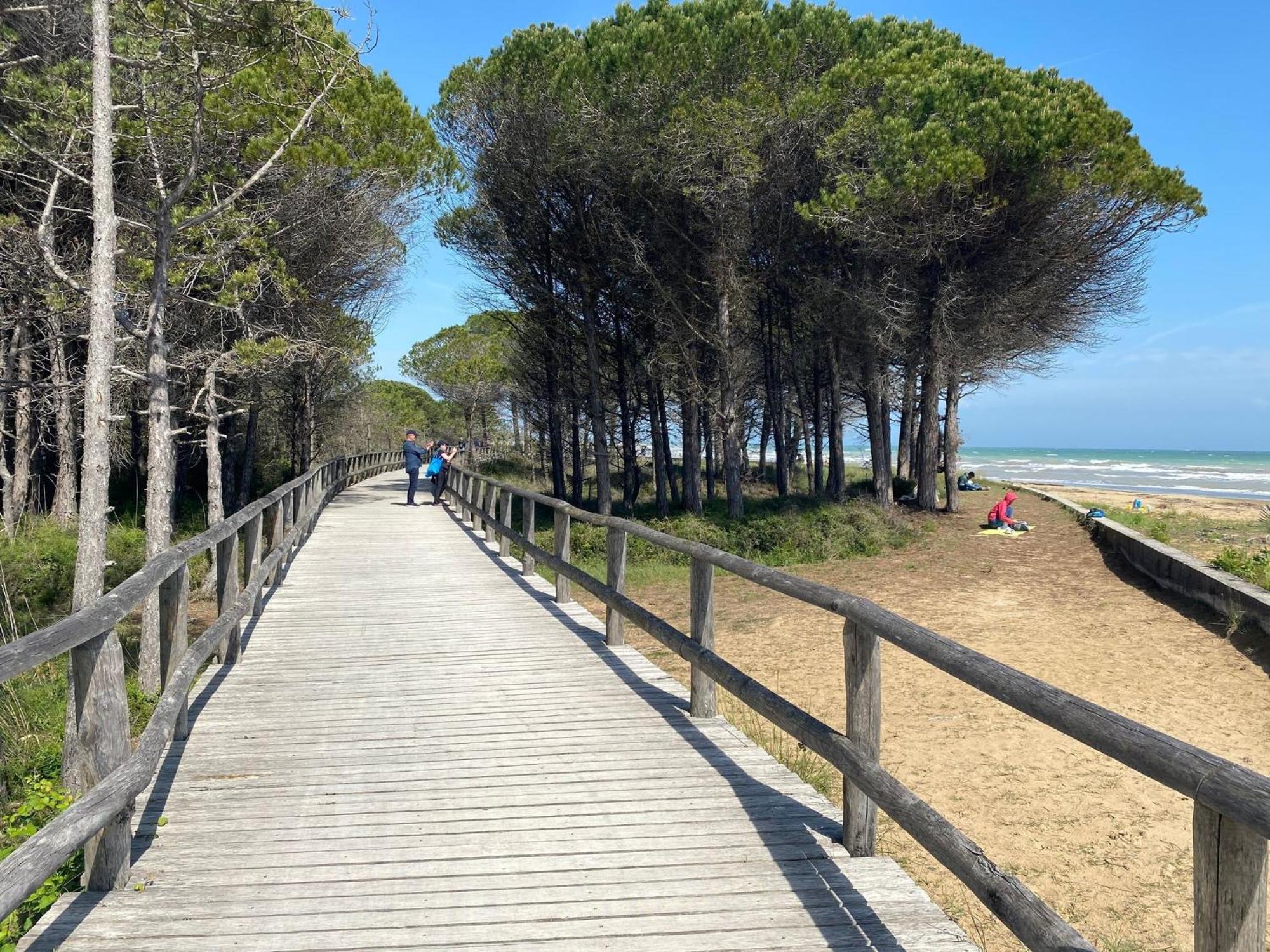 Enjoy Sun, Sand, And Shopping In Our Apartment